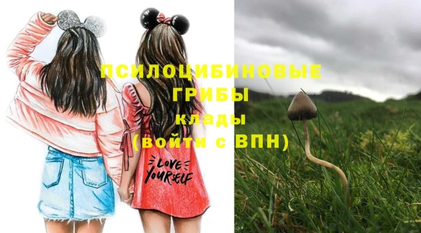 Альфа ПВП Лихославль