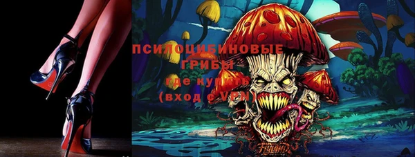 прущая мука Лабытнанги