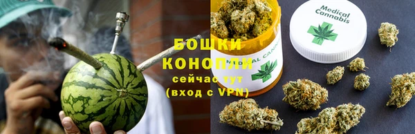 ГАЛЛЮЦИНОГЕННЫЕ ГРИБЫ Лагань
