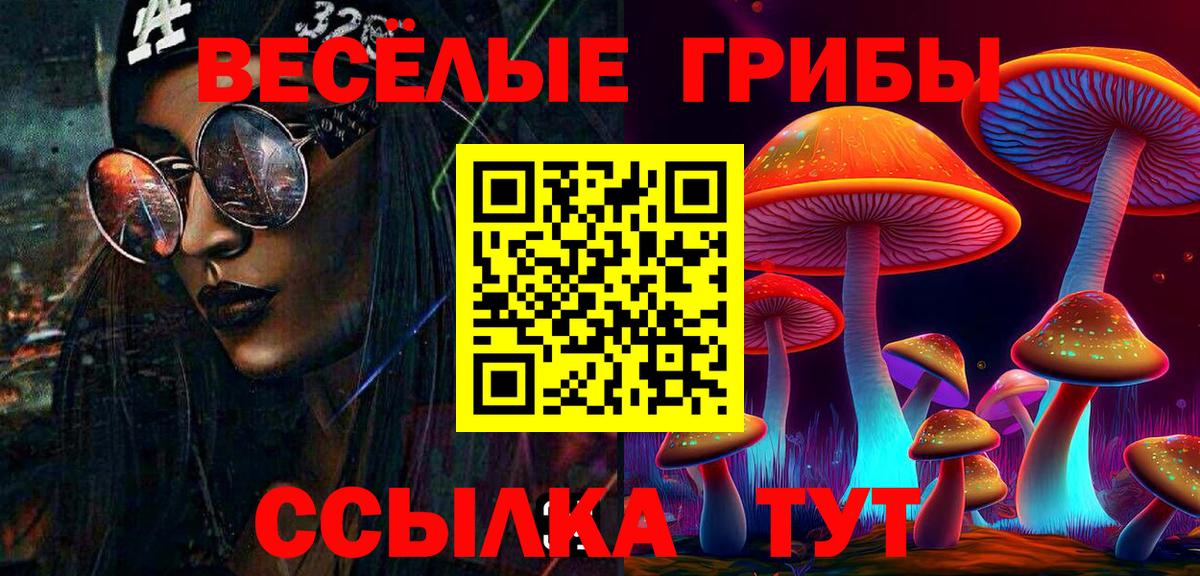 Псилоцибиновые грибы Psilocybe Маркс