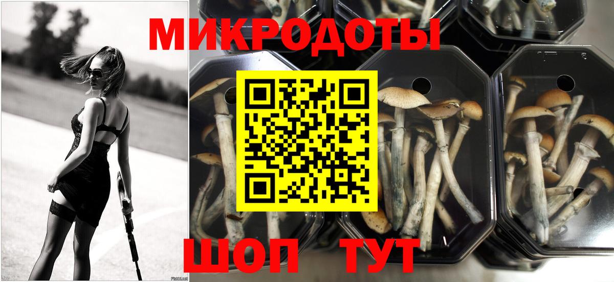 Галлюциногенные грибы мицелий  Вход с VPN  Галлюциногенные грибы Psilocybine cubensis  где можно купить   Маркс 
