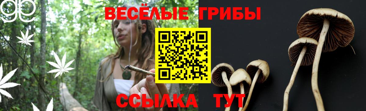 Псилоцибиновые грибы мицелий Маркс